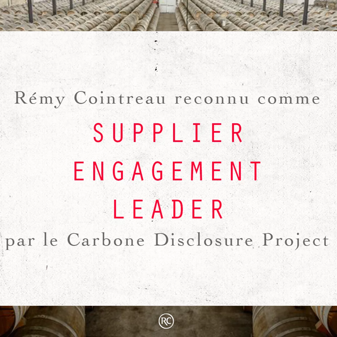 Rémy Cointreau’s commitment to engage suppliers on climate change rewarded by CDP