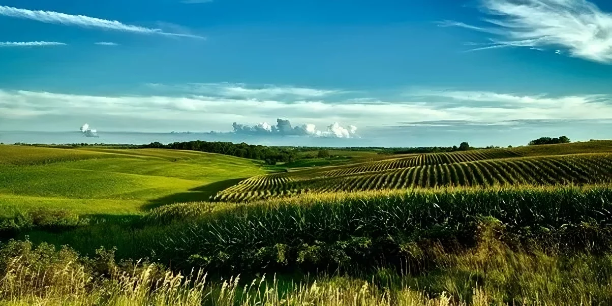 WWF, REMY COINTREAU, MOET HENNESSY et GENESIS accélèrent et amplifient la transition vers une agriculture...