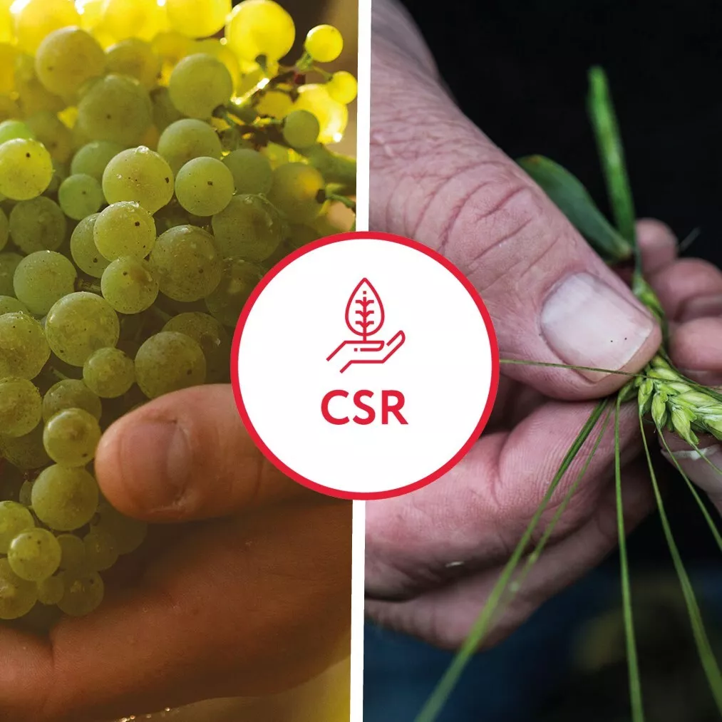 Rémy Cointreau supports agricultural practices with positive impact on climate and biodiversity